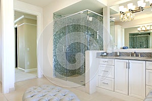 Large Upscale Master Bathroom