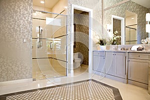 Large Upscale Master Bathroom photo