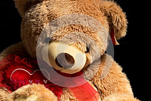 A large valentine holiday teddy bear on a black background. Close up