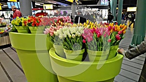 Large vases of fake flowers, namely tulips, photo
