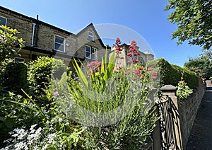 Large Victorian houses, with garden flowers on, Grasmere Road, Huddersfield, UK