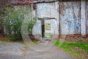 Large vigorous yellow, red, green trees, bushes, plants growing among concrete structures, places and structures.