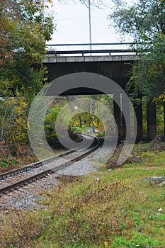 Large vigorous yellow, red, green trees, bushes, plants growing among concrete structures, places and structures.