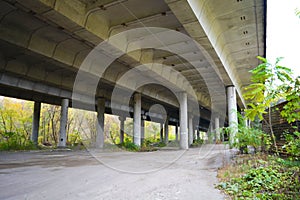 Large vigorous yellow, red, green trees, bushes, plants growing among concrete structures, places and structures.