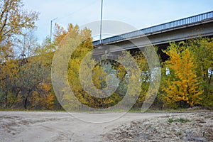 Large vigorous yellow, red, green trees, bushes, plants growing among concrete structures, places and structures.