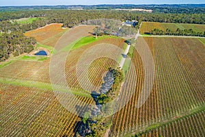 Large vineyard and forest in Australia.