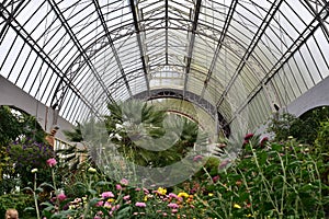 Large vintage greenhouse