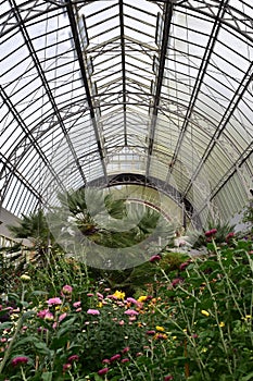 Large vintage greenhouse portrait