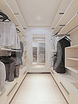 Large wardrobe in a modern style interior