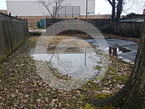 Large water puddle in flooded yard with reflection
