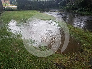 Large water puddle with rain drops in green grass and asphalt