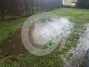 Large water puddle with rain drops in green grass