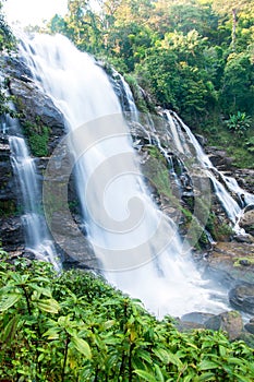Large waterfall in forest
