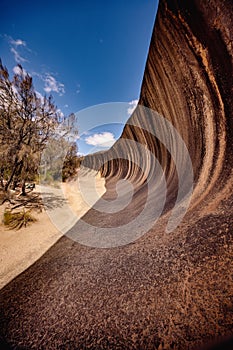 large wave rock with small tree in foreground of sand area: western Australia