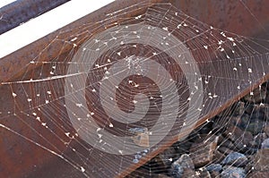 A large web hangs on rusty metal rails