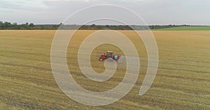 Large wheat field drone view. A tractor sprays a wheat field, a top view. Protecting fields from pests