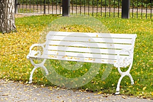 Large white bench in park in autumn