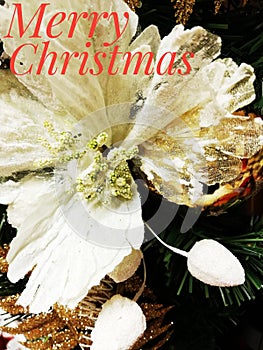 A large white flower with glittering sequins on a dark background Christmas decorations from fir twigs the Flower is written Merry