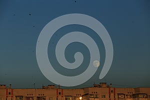 large white full moon on clear blue over an urban high building