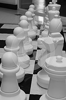 Large White Plastic Chess Pieces.