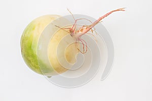 Large white radish. White background.