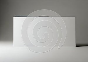 A large white rectangular object standing upright against a gray background
