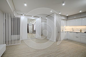 Large white room connected to hall and kitchen in a studio flat