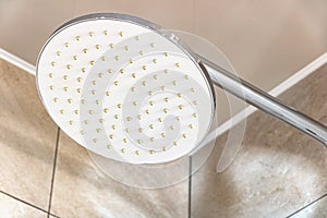 Large white shower head close-up in the bathroom.