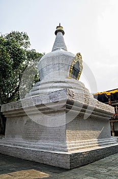 Large white-washed stupa and bodhi tree in the first courtyard of Punakha Dzong, Bhutan
