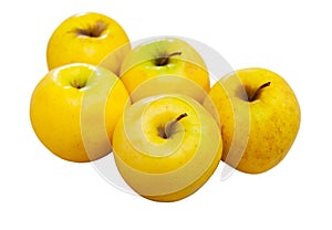 Large whole yellow golden delicious apples on table