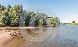 Large willow trees on the bank of a lake