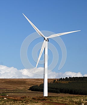 Large wind generator