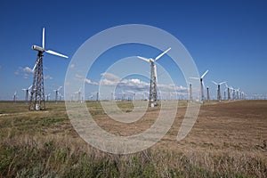 A large wind power plant with high white windmills in the plain