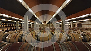 Large wine cellar with French oak barrels