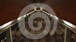 Large wine cellar with French oak barrels