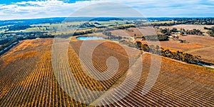 Large winery in autumn near Red Hill. photo