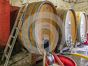 A large wooden barrel for aging wine is washed and disinfected in a Tuscan winery in the Chianti area