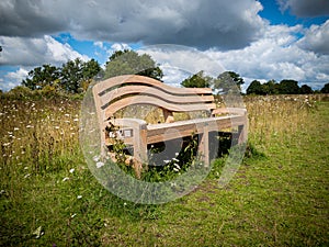 Large wooden bench in a grass and flower meadow