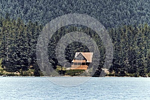 large wooden cottage surrounded by pine and fir trees