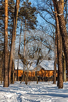 a large wooden house can be seen between snow-covered trees on a clear sunny day