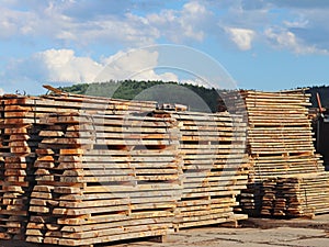 Large wooden planks stacked in racks for drying under the open sky in an industrial area. Timing of wood for carpentry. Manufactur