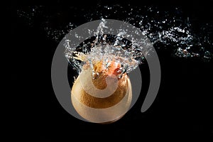 A large yellow grapefruit falls into the water