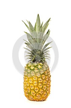 Large yellow pineapple fruit standing isolated on a white background