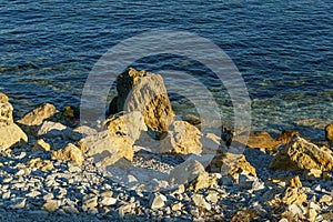 Large yellow rocks against the backdrop of the blue sea at sunset. Sea stones and rocks of different sizes