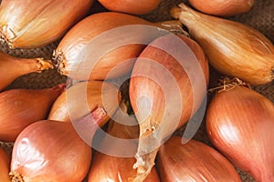 Large yellow unpeeled onion on a dark wooden background.