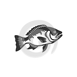 Larged bass fish icon