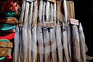 Largehead hairtail fish in Busan, Korea