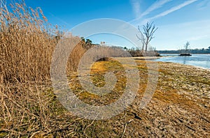 Largely dry lake at the end of the winter season