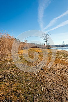 Largely dry lake at the end of the winter season