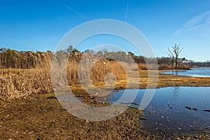 Largely dry lake at the end of the winter season